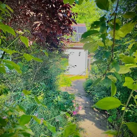 Gruene Oase Apartamento Leipzig