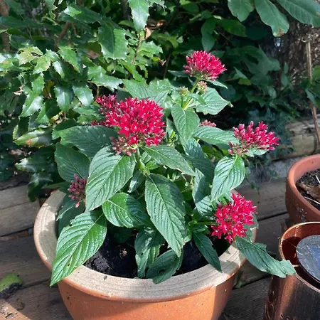 Apartamento Gruene Oase