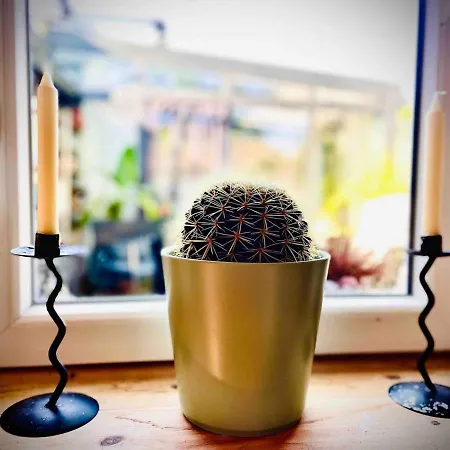 Gruene Oase דירה לייפציג