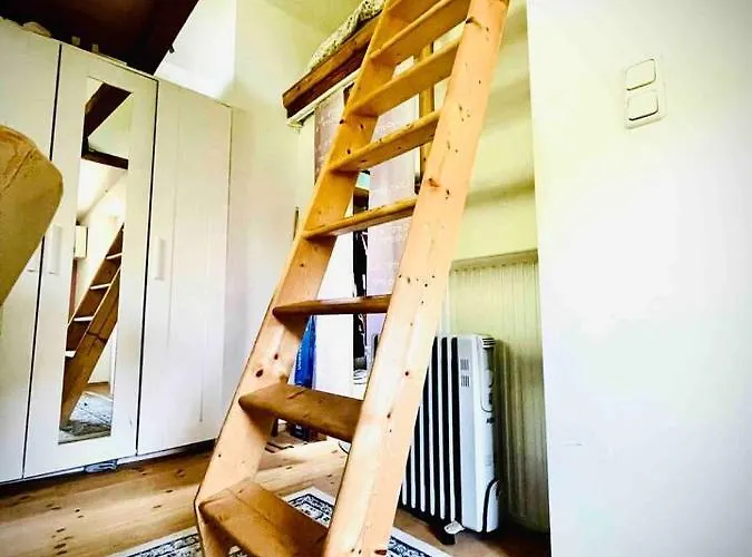 Gruene Oase * لبسيا