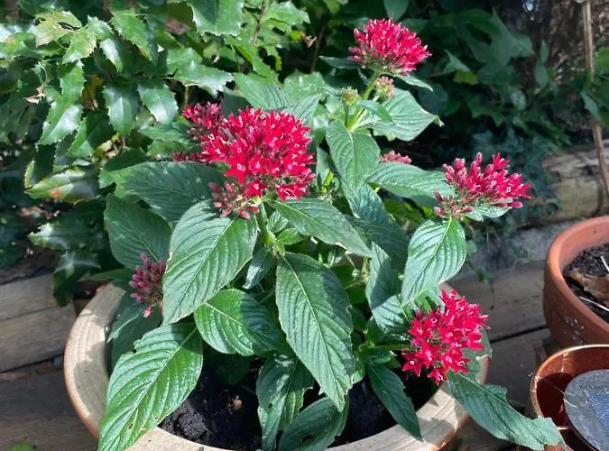 Apartment Gruene Oase