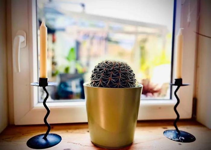 Gruene Oase شقة لبسيا